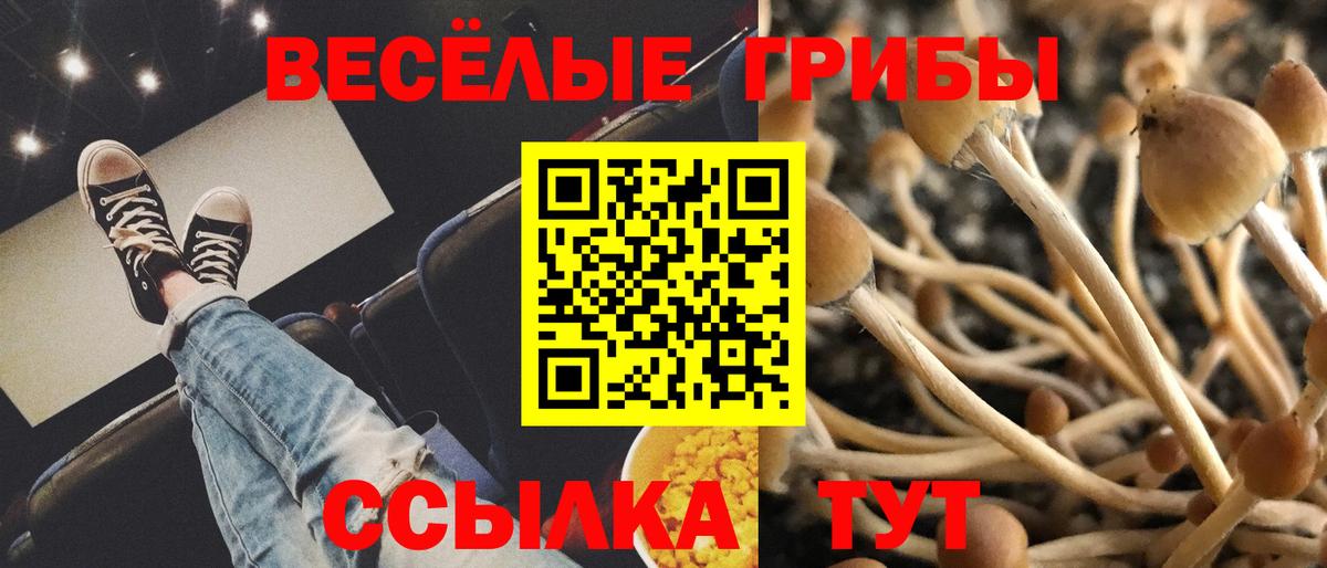Псилоцибиновые грибы Psilocybe  Псилоцибиновые грибы ЛСД  Вход с VPN  Холмск 