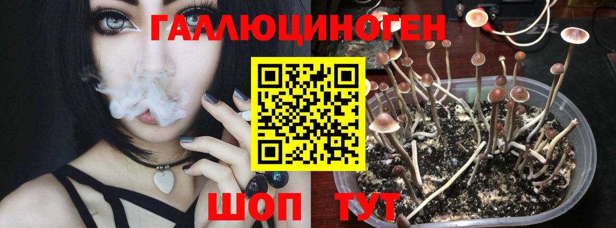 МЕФ   Alpha-PVP СОЛЬ кристаллы  МЕТАМФЕТАМИН  Холмск  Каннабис  Вход с VPN  Мефедрон 
